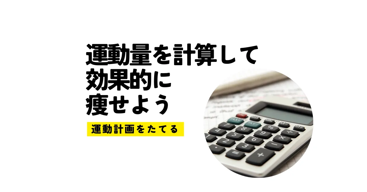 運動量を計算して効果的に痩せよう